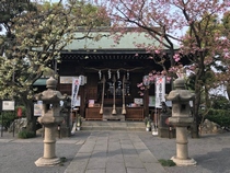 浅草神社(画像