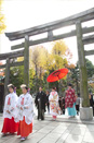 東京都 牛嶋神社サムネイル画像02