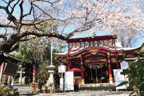 居木神社画像