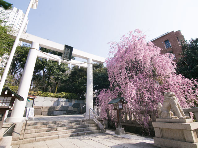 東京都 乃木神社画像2